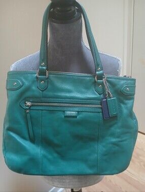 Coach Daisy Emma Tote Bag